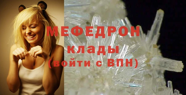 индика Сатка
