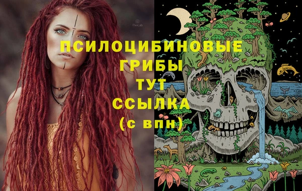 индика Сатка