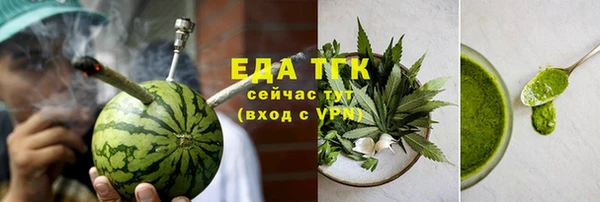 индика Сатка