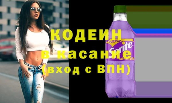 индика Сатка