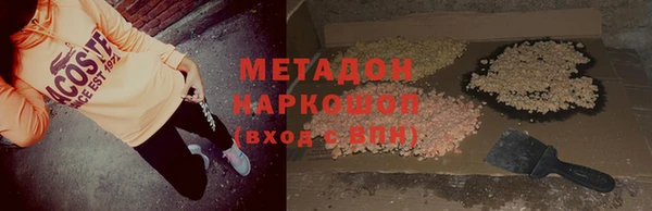 индика Сатка