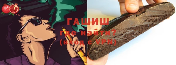 индика Сатка