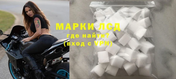 индика Сатка