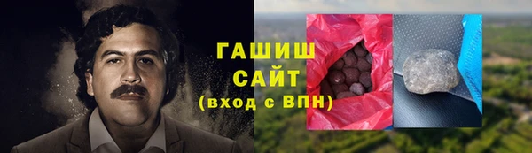 индика Сатка