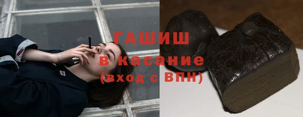 индика Сатка