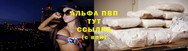 мяу мяу мука Сафоново