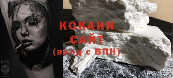 индика Сатка