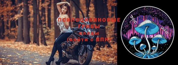 индика Сатка
