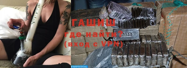 индика Сатка