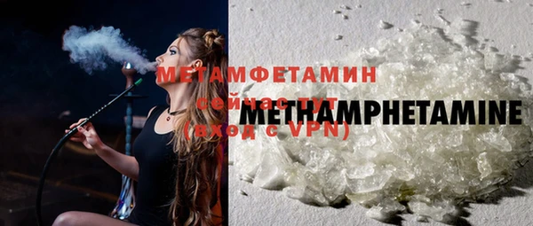 индика Сатка