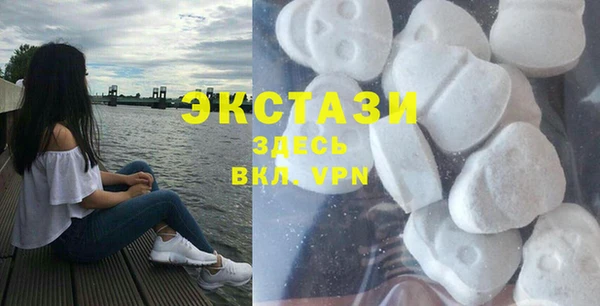 индика Сатка