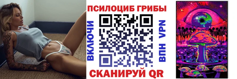 kraken как войти  Дыгулыбгей  Псилоцибиновые грибы Psilocybe 